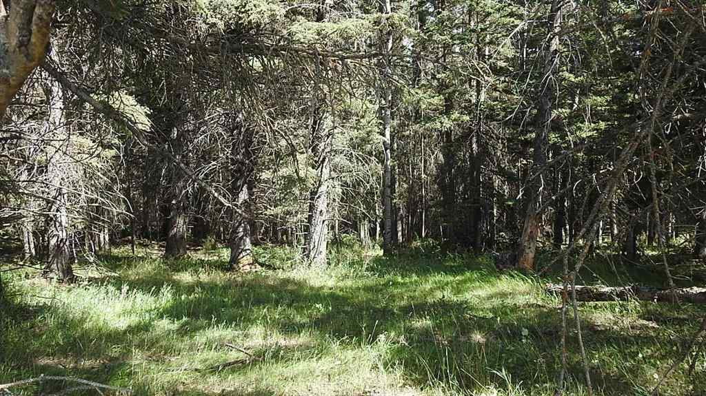 MLS® A2207390 - 15404 85 Street SW in NONE Calgary, Land
