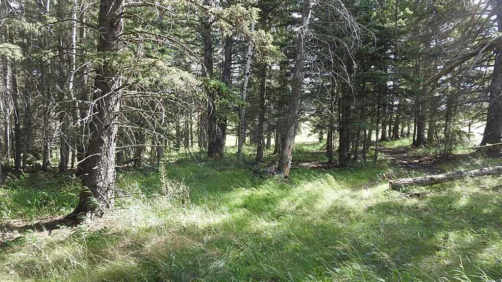 MLS® A2207390 - 15404 85 Street SW in NONE Calgary, Land