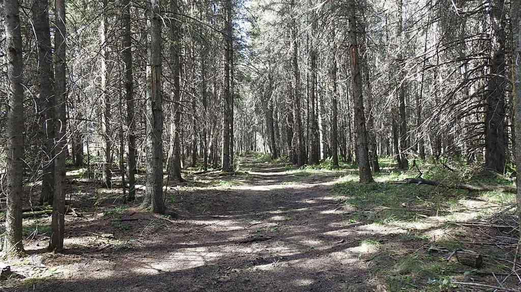 MLS® A2207390 - 15404 85 Street SW in NONE Calgary, Land