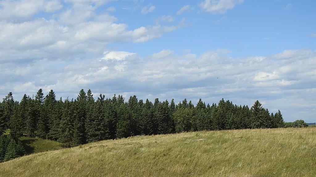 MLS® A2207390 - 15404 85 Street SW in NONE Calgary, Land