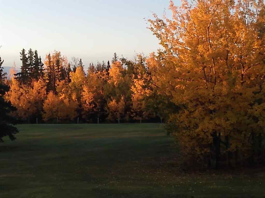 MLS® A2207741 - 81035 RR83   in NONE Rural Saddle Hills County, Residential