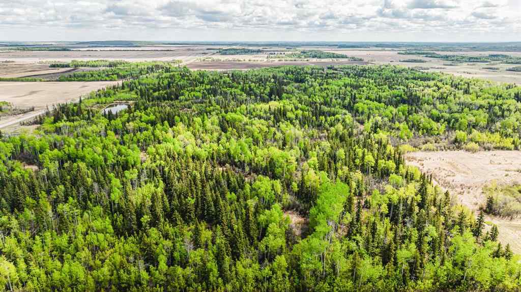 MLS® A2208104 - NW-19-81-9-W6 Highway 681   in NONE Rural Saddle Hills County, Agri-Business
