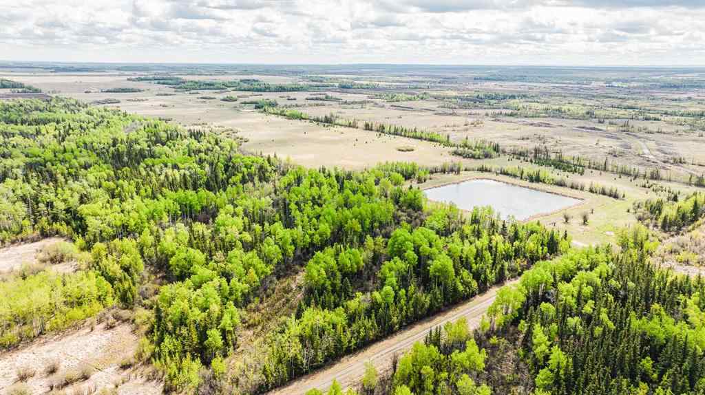 MLS® A2208104 - NW-19-81-9-W6 Highway 681   in NONE Rural Saddle Hills County, Agri-Business