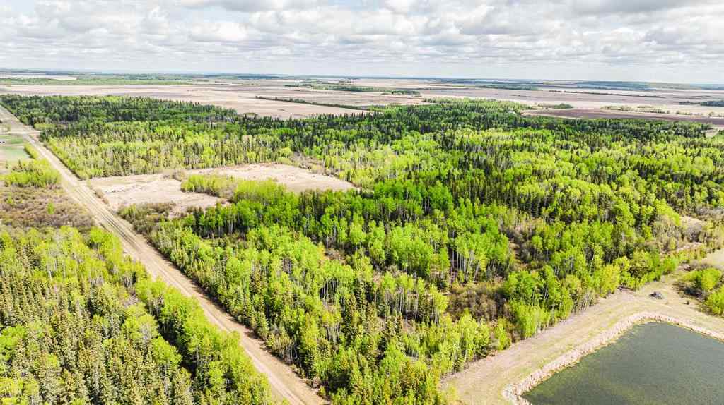 MLS® A2208104 - NW-19-81-9-W6 Highway 681   in NONE Rural Saddle Hills County, Agri-Business
