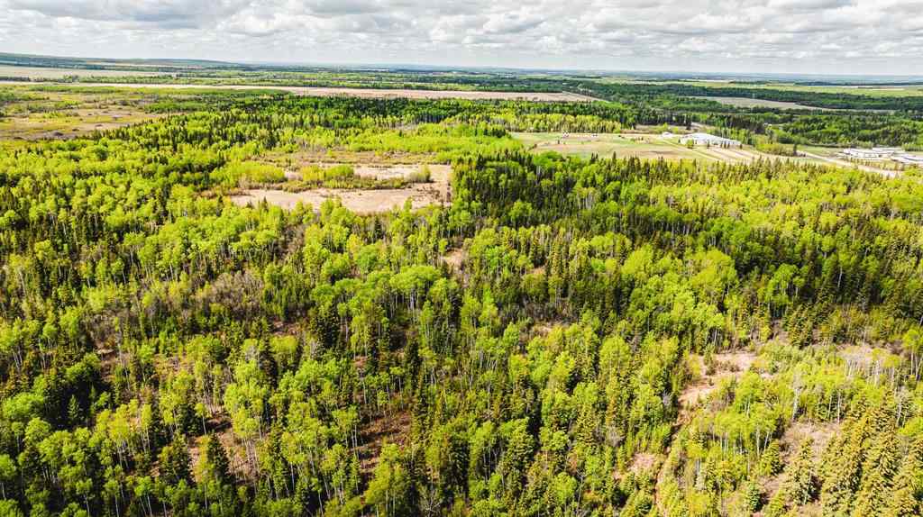 MLS® A2208104 - NW-19-81-9-W6 Highway 681   in NONE Rural Saddle Hills County, Agri-Business