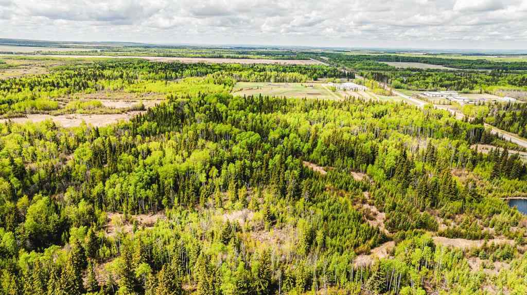 MLS® A2208104 - NW-19-81-9-W6 Highway 681   in NONE Rural Saddle Hills County, Agri-Business