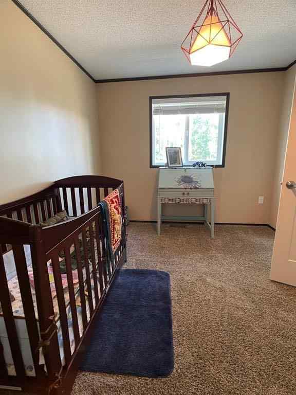 MLS® A2208684 - Unit ##52 160 Peace River Avenue   in NONE Joussard, Residential