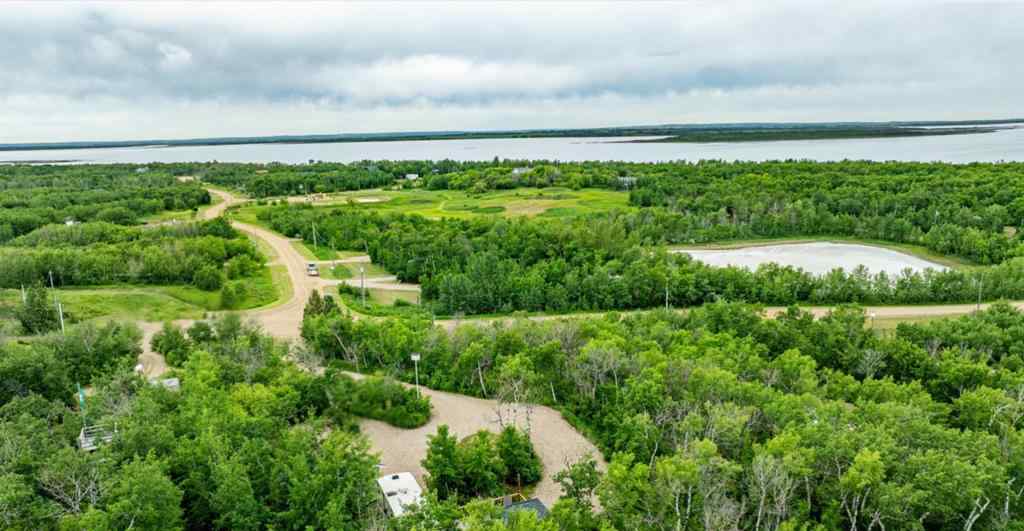 MLS® A2208954 - #9 Hill Close   in Buffalo Lake Meadows Rural Stettler No. 6, County of, Land