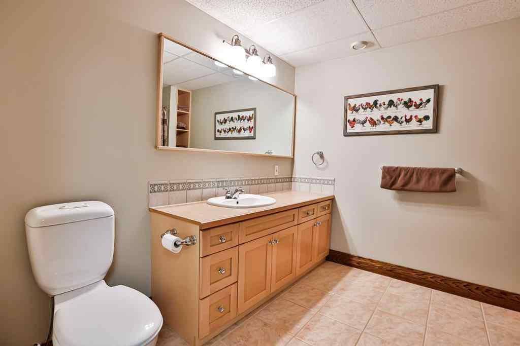 MLS® A2209064 - 100007 Range Road 220   in NONE Diamond City, Residential