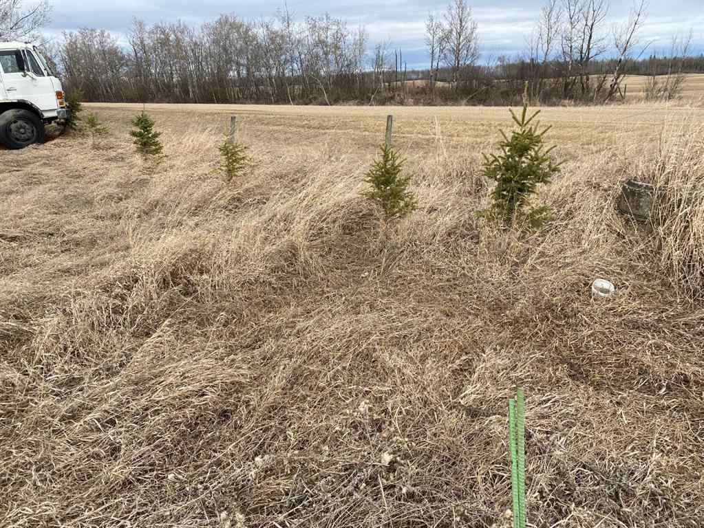 MLS® A2209644 - 790006 RGE RD 255   in NONE Rural Birch Hills County, Residential