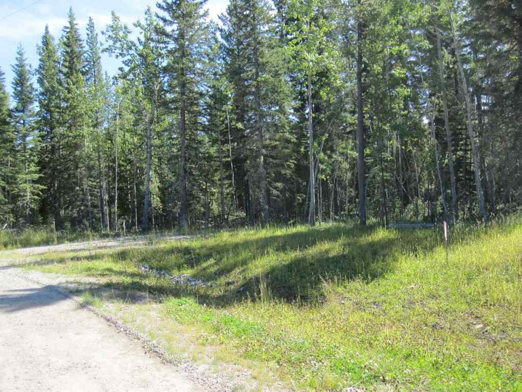 MLS® A2209755 - 1 BOUNDARY   in Boundary Rural Clearwater County, Land