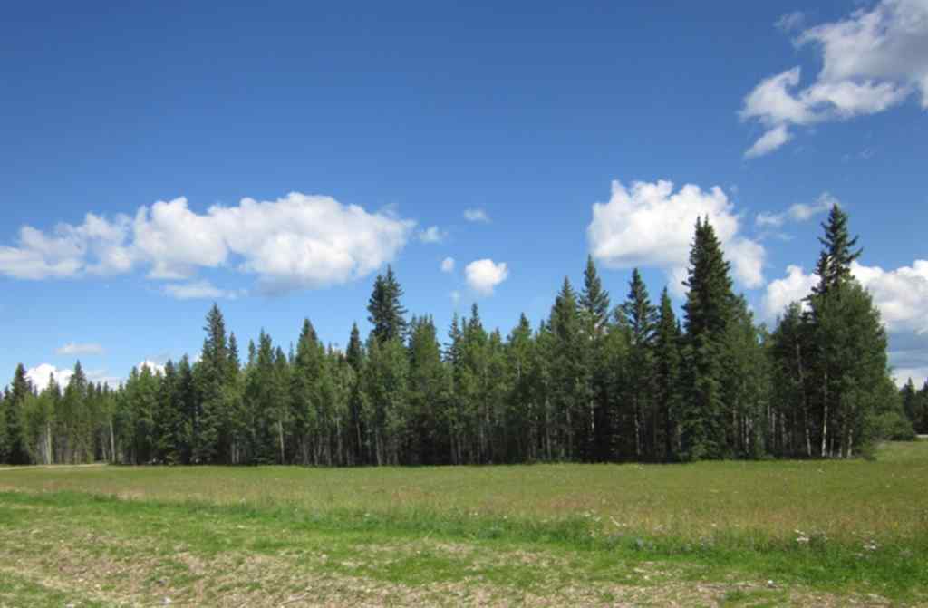 MLS® A2209756 - 48 BOUNDARY   in Boundary Rural Clearwater County, Land
