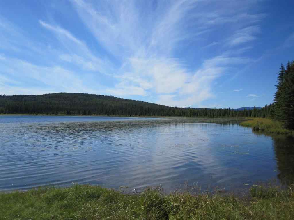 MLS® A2209756 - 48 BOUNDARY   in Boundary Rural Clearwater County, Land