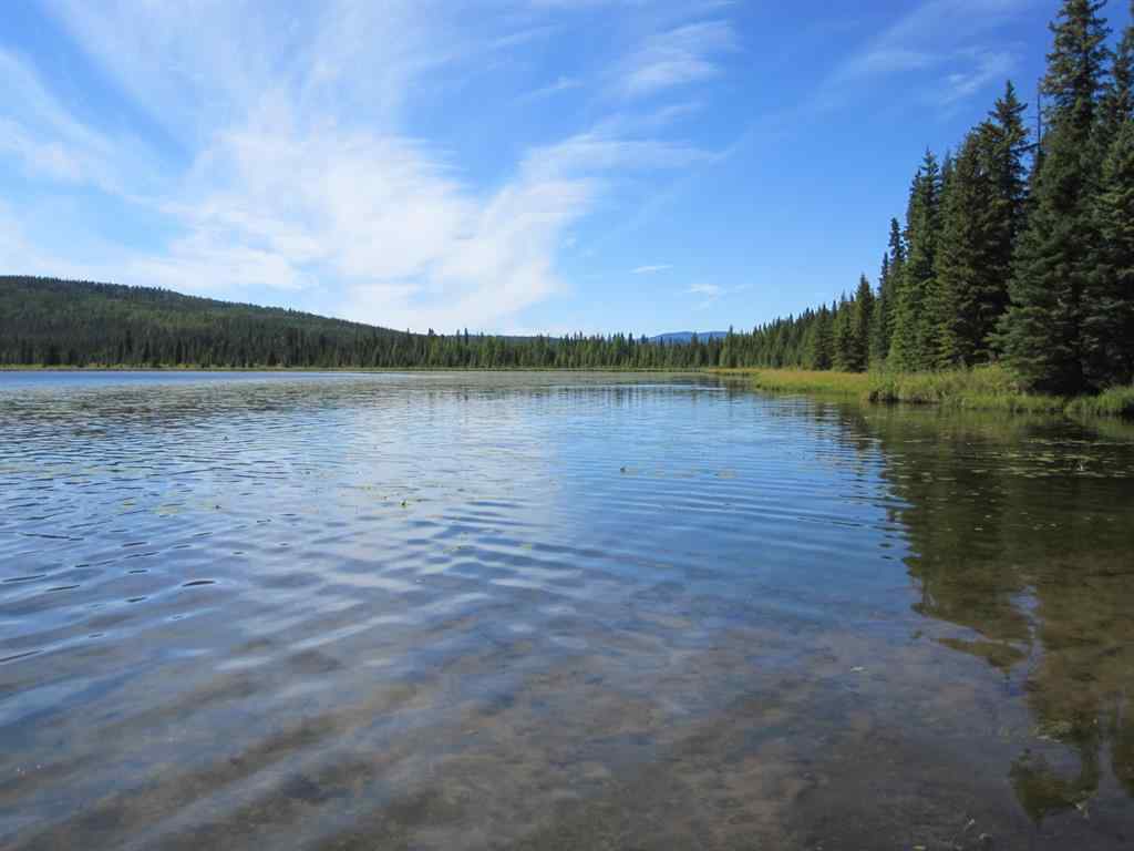 MLS® A2209756 - 48 BOUNDARY   in Boundary Rural Clearwater County, Land