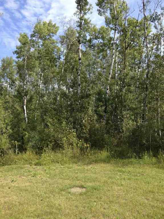 MLS® A2210122 - 8 Antler Close  in Deer Ridge Estates Rural Athabasca County, Land