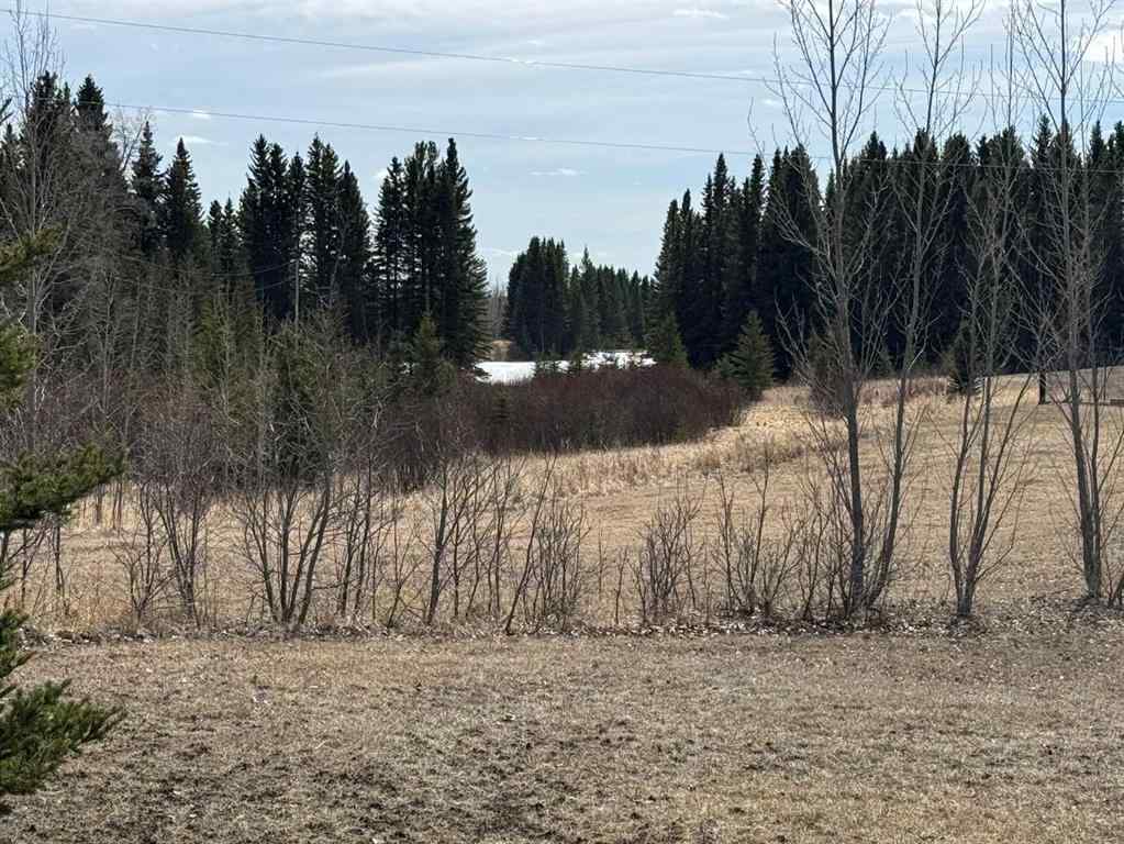 MLS® A2210293 - 62 Beaver Bend  in Bergen Springs Rural Mountain View County, Land