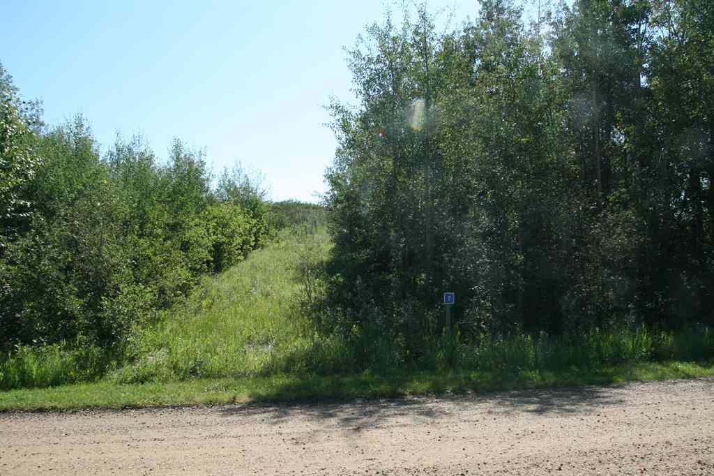 MLS® A2210323 - 7 Buffalo Drive  in Scenic Sands Rural Stettler No. 6, County of, Land