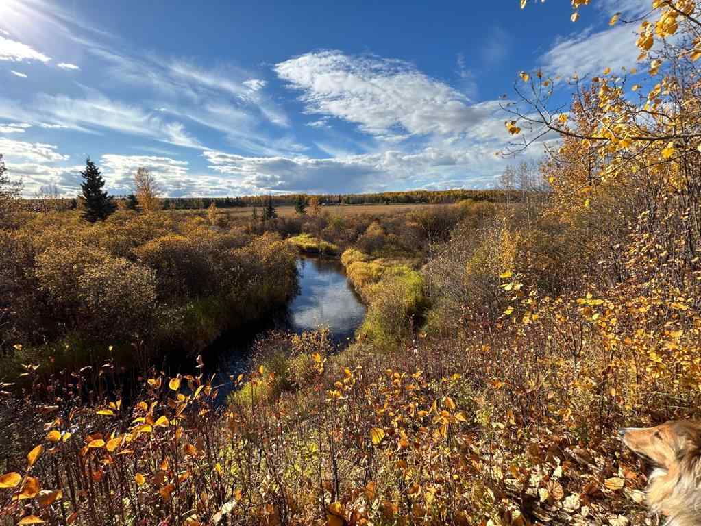 MLS® A2210374 - 53021A 37-2 Township Road  in NONE Rural Clearwater County, Agri-Business