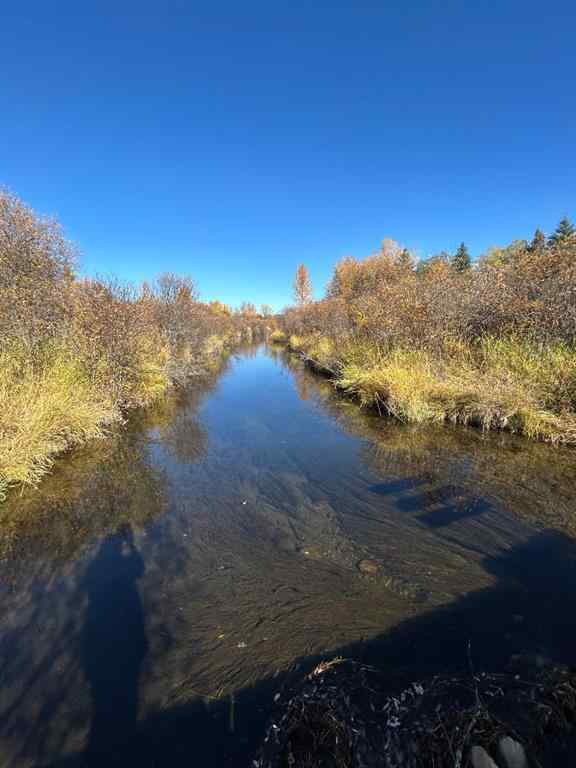 MLS® A2210374 - 53021A 37-2 Township Road  in NONE Rural Clearwater County, Agri-Business
