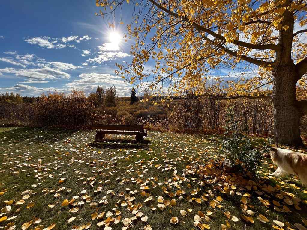 MLS® A2210374 - 53021A 37-2 Township Road  in NONE Rural Clearwater County, Agri-Business