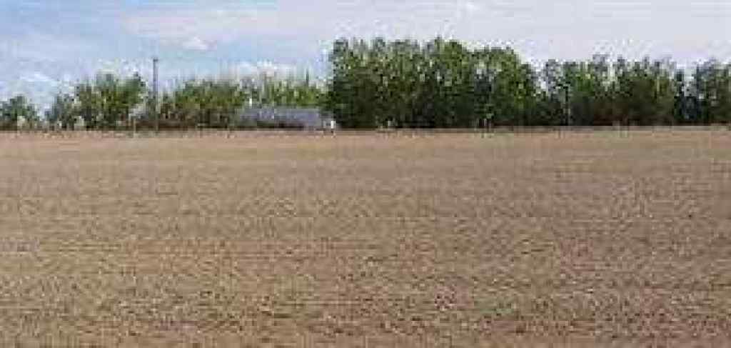 MLS® A2210769 -  Lot 5 Range road 112 Rural Forty Mile No. 8   in NONE Rural Forty Mile No. 8, County of, Land