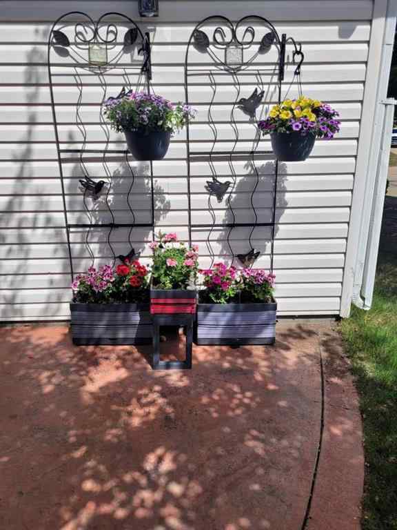 MLS® A2211244 - 4901 Dorchester Avenue  in Davenport Red Deer, Mobile