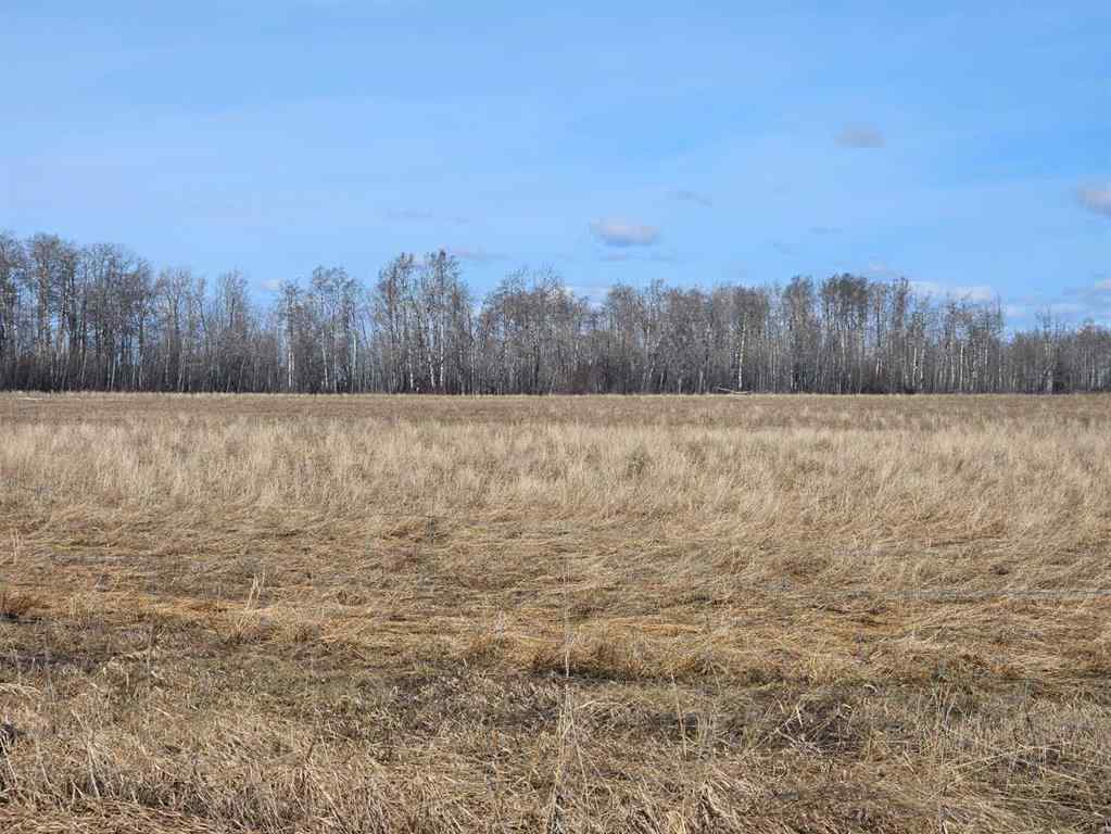 MLS® A2211550 - 720 TWP RD 720 Township  in NONE DeBolt, Land