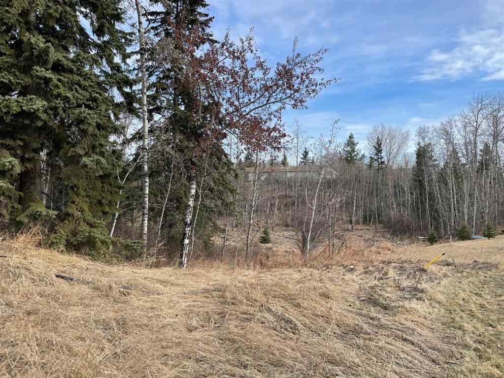 MLS® A2211725 - 130 & 132 Wolf Run Drive  in Wolf Creek Village Rural Ponoka County, Land