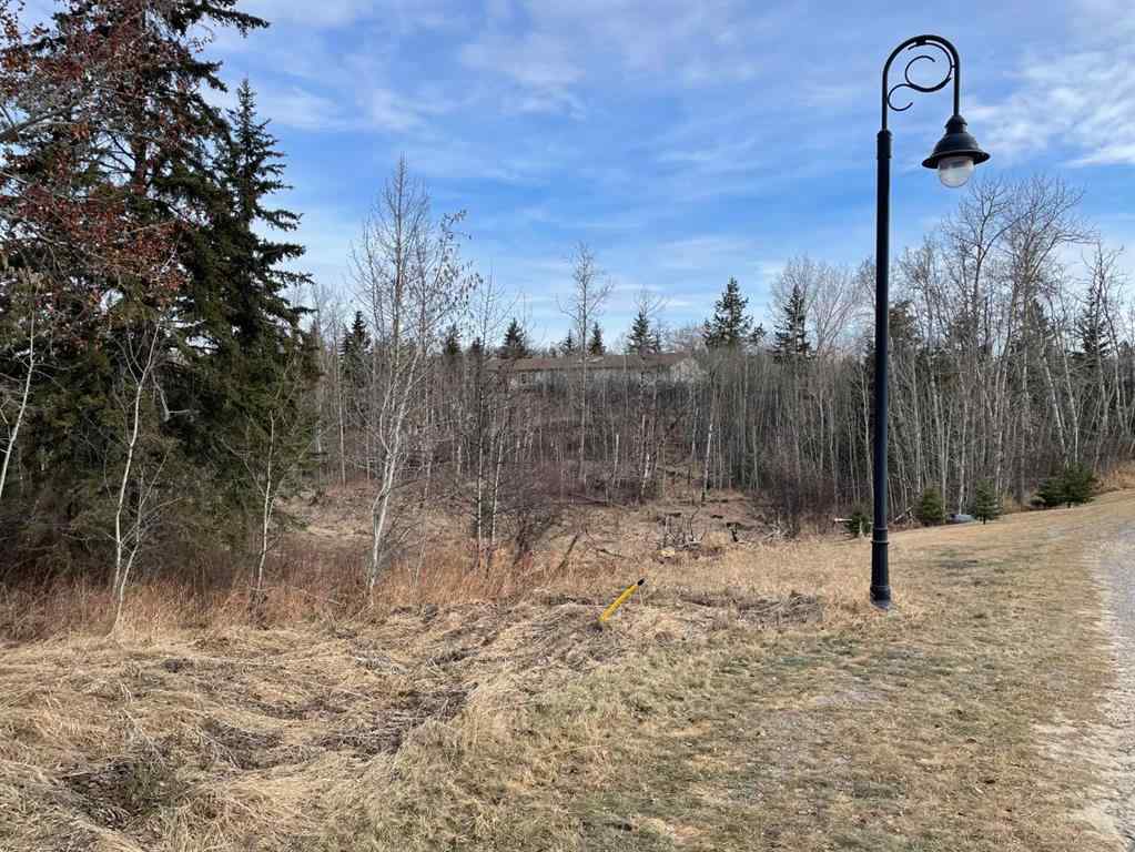 MLS® A2211725 - 130 & 132 Wolf Run Drive  in Wolf Creek Village Rural Ponoka County, Land