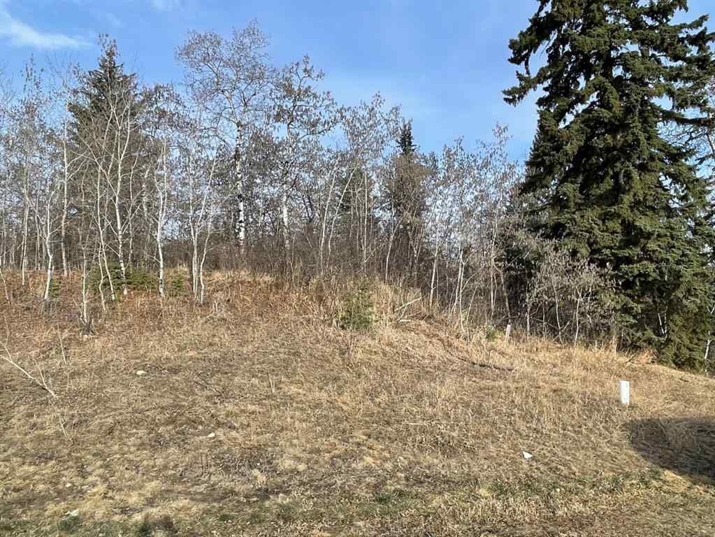 MLS® A2211725 - 130 & 132 Wolf Run Drive  in Wolf Creek Village Rural Ponoka County, Land