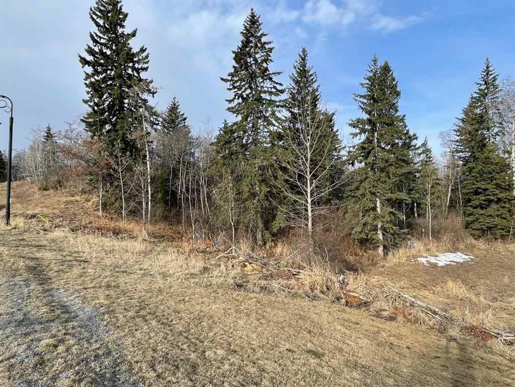 MLS® A2211725 - 130 & 132 Wolf Run Drive  in Wolf Creek Village Rural Ponoka County, Land