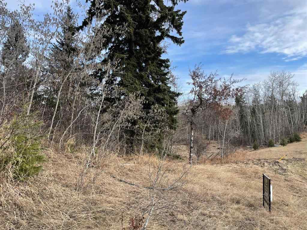 MLS® A2211725 - 130 & 132 Wolf Run Drive  in Wolf Creek Village Rural Ponoka County, Land