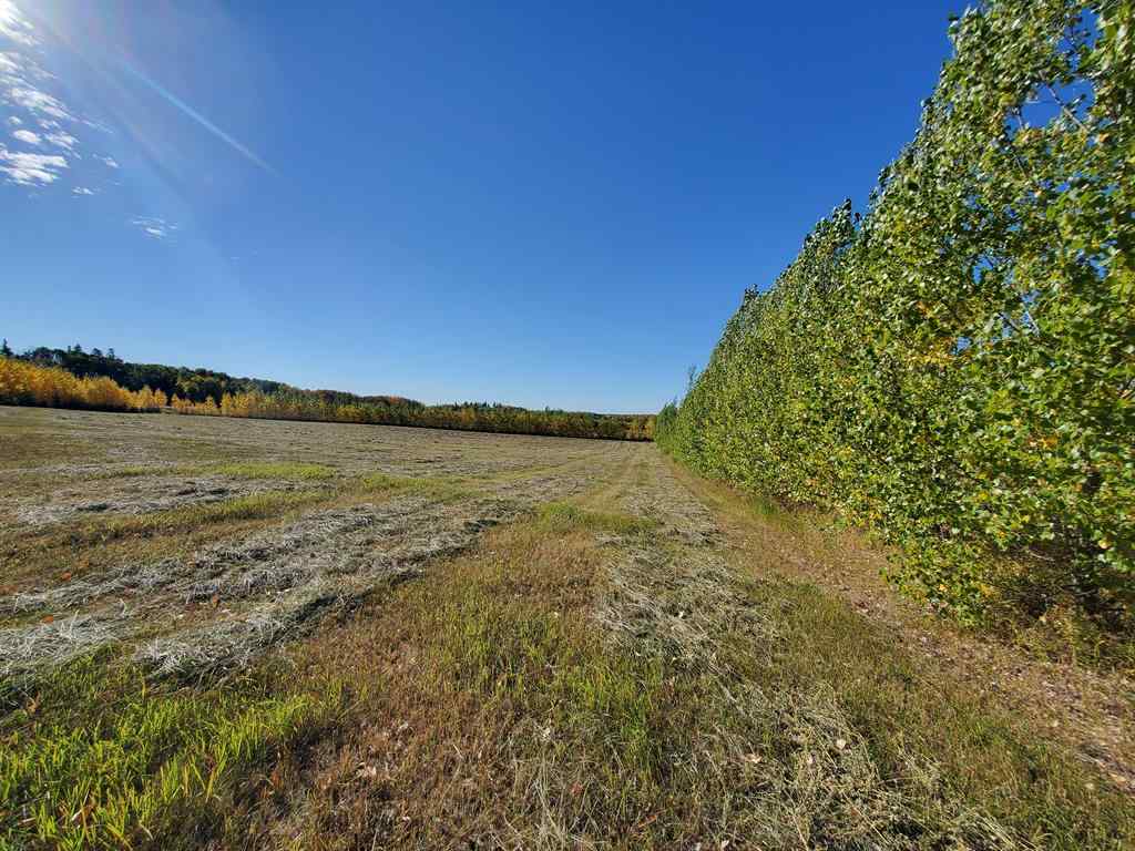MLS® A2212076 - 68126 Campsite Road   in Plamondon Plamondon, Land