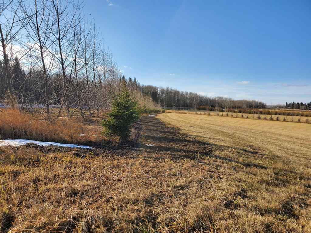MLS® A2212076 - 68126 Campsite Road   in Plamondon Plamondon, Land