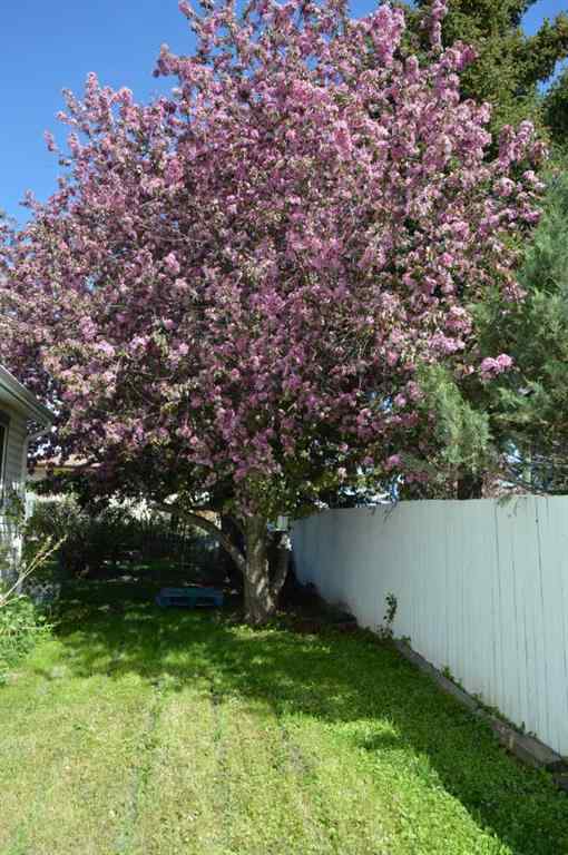 MLS® A2212165 - 313 & 315 Twin Cities Drive  in NONE Longview, Residential