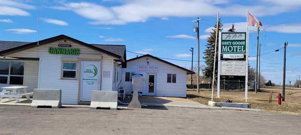 MLS® A2212283 - 4316 48 Avenue  in NONE Castor, Commercial