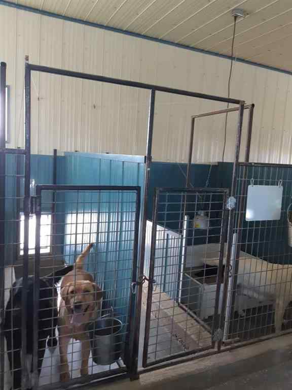 MLS® A2212496 - 3117 Township Road 124   in NONE Rural Cypress County, Agri-Business