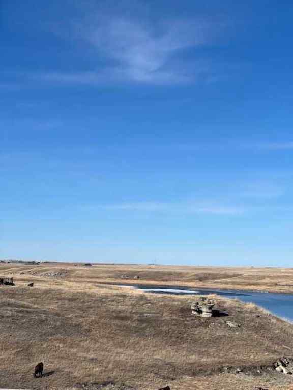MLS® A2212512 - 14 Pine Coulee Ranch SW in NONE Stavely, Land