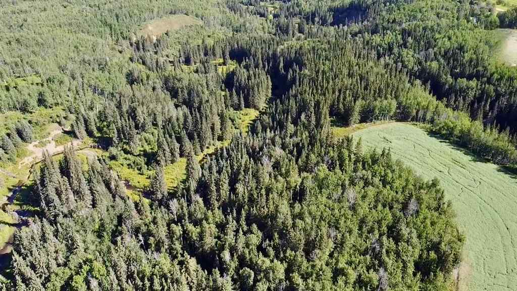 MLS® A2212534 - Range Road 225 Canyon Road   in NONE Rural Athabasca County, Land
