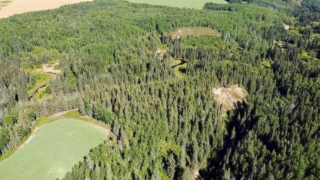 MLS® A2212534 - Range Road 225 Canyon Road   in NONE Rural Athabasca County, Land