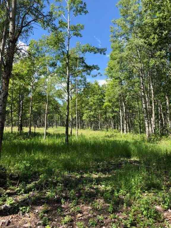 MLS® A2212862 -  Range Rd 55 - Forestry Trunk Rd (SE 30-26-5-5)   in NONE Rural Rocky View County, Land