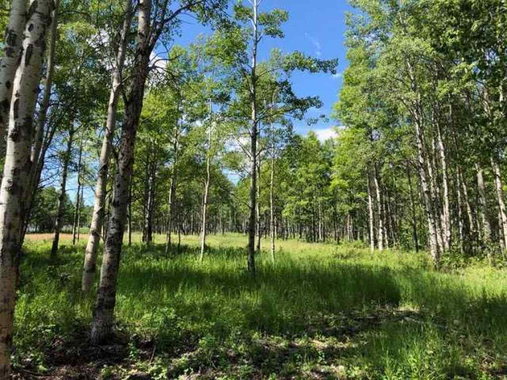 MLS® A2212862 -  Range Rd 55 - Forestry Trunk Rd (SE 30-26-5-5)   in NONE Rural Rocky View County, Land