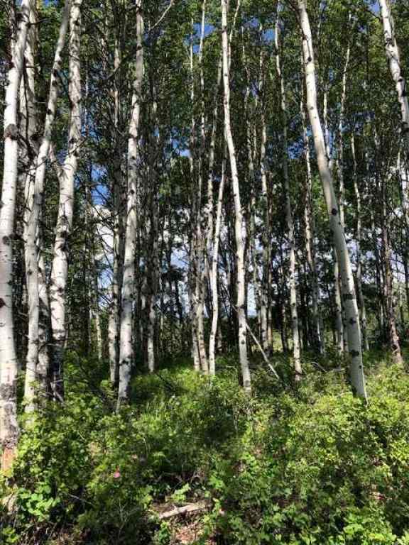 MLS® A2212862 -  Range Rd 55 - Forestry Trunk Rd (SE 30-26-5-5)   in NONE Rural Rocky View County, Land