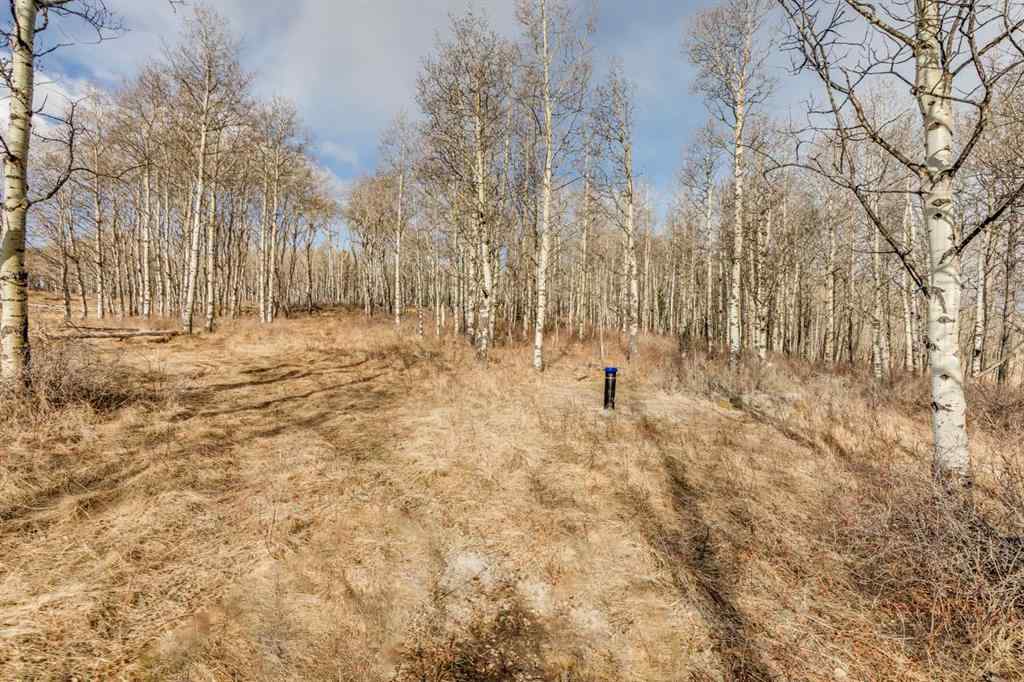 MLS® A2212862 -  Range Rd 55 - Forestry Trunk Rd (SE 30-26-5-5)   in NONE Rural Rocky View County, Land