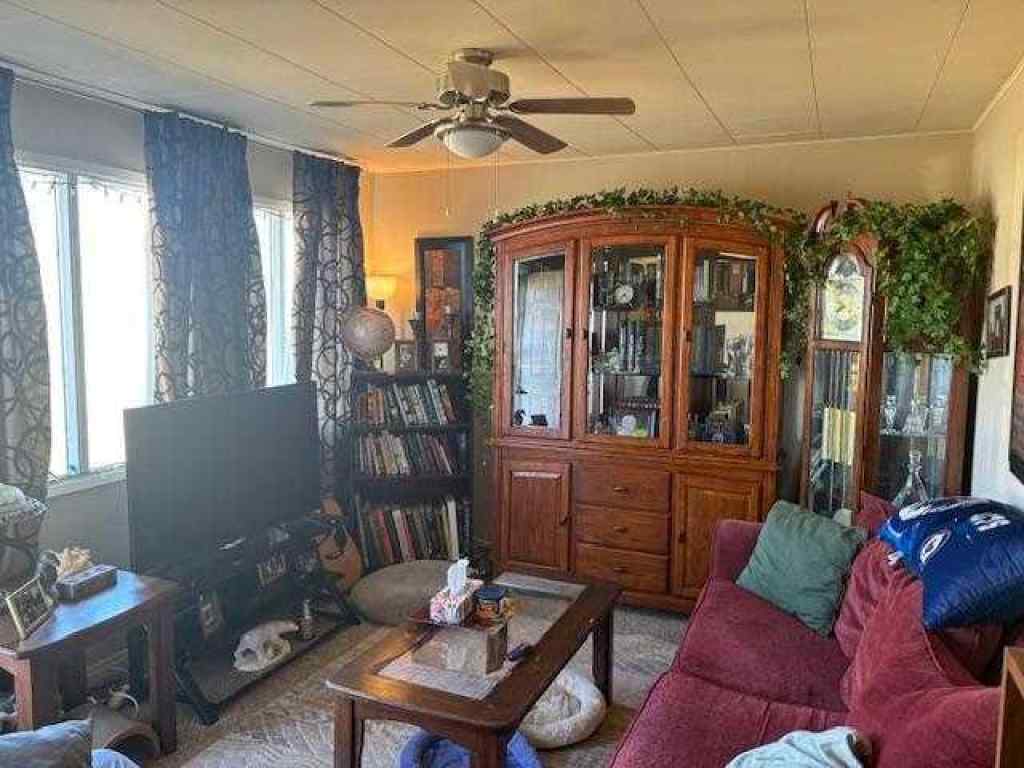 MLS® A2212907 - 407 2nd Street NE in NONE Manning, Residential