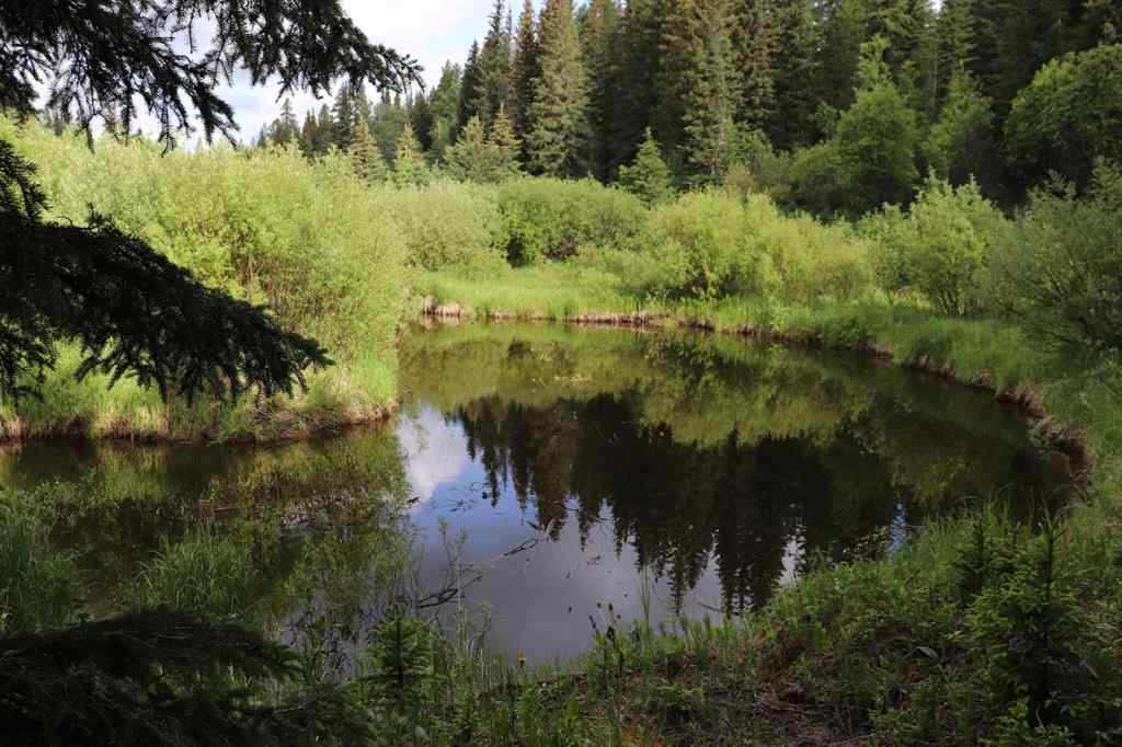 MLS® A2213028 - 55421 Range Road 184   in NONE Rural Yellowhead County, Residential
