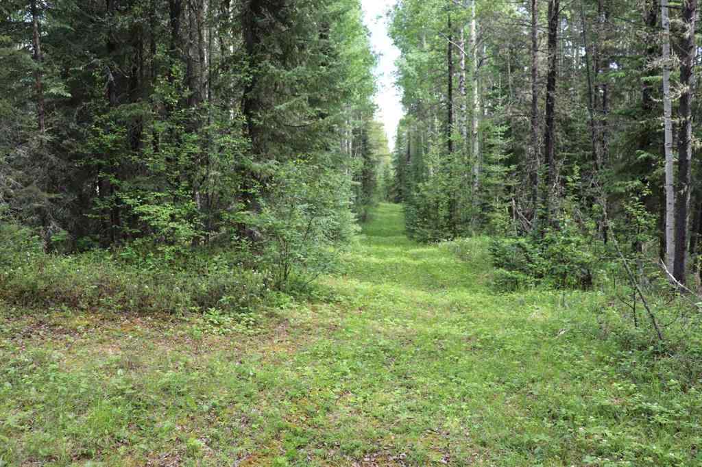 MLS® A2213028 - 55421 Range Road 184   in NONE Rural Yellowhead County, Residential
