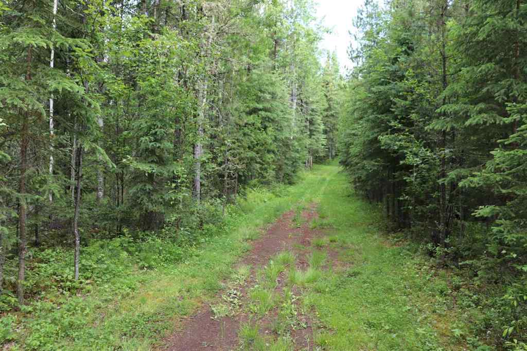 MLS® A2213028 - 55421 Range Road 184   in NONE Rural Yellowhead County, Residential