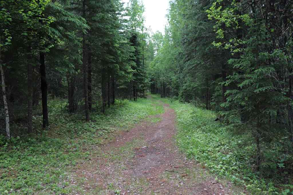 MLS® A2213028 - 55421 Range Road 184   in NONE Rural Yellowhead County, Residential