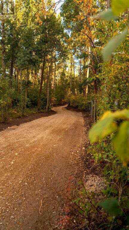 MLS® A2213472 - 74 Slopeside Drive  in The Slopes Rural Lacombe County, Land